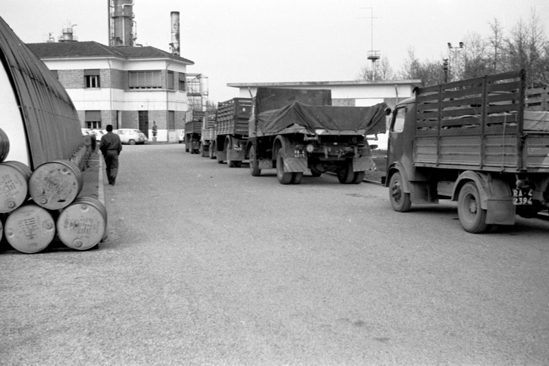 Benini. Consorzio Agrario